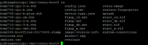 file listing resin-boot